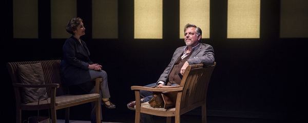 Photo Flash: Get A First Look At American Players' THE UNEXPECTED MAN Image