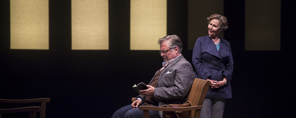Photo Flash: Get A First Look At American Players' THE UNEXPECTED MAN Image