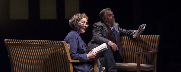 Photo Flash: Get A First Look At American Players' THE UNEXPECTED MAN Image