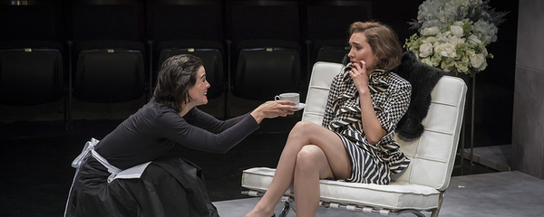 Photo Flash: THE MAIDS at American Players Theatre Image