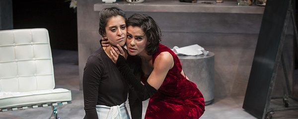 Photo Flash: THE MAIDS at American Players Theatre Image