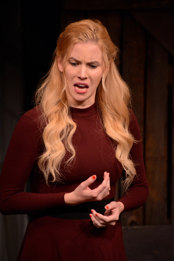 Photo Coverage: Meet the Company of York Theatre Company's DESPERATE MEASURES! Image