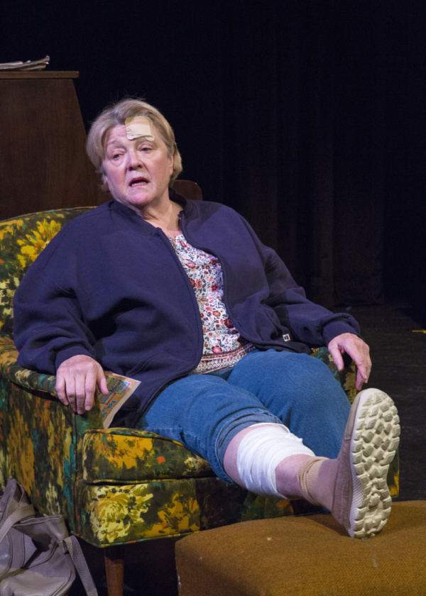 Photo Flash: First Look at Kenneth Jones' HOLLYWOOD, NEBRASKA at 2017 Wyoming Theater Festival Image