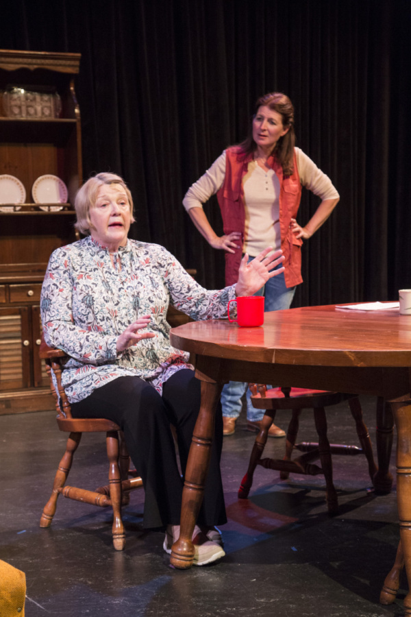 Photo Flash: First Look at Kenneth Jones' HOLLYWOOD, NEBRASKA at 2017 Wyoming Theater Festival Image