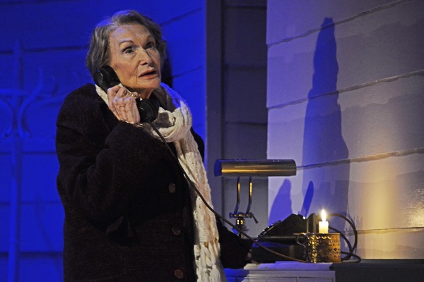 Photo Flash: First Look at Theatre Royal Bath's DRIVING MISS DAISY Image