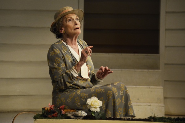 Photo Flash: First Look at Theatre Royal Bath's DRIVING MISS DAISY Image
