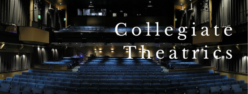 Collegiate Theatrics: Vanderbilt University's MICHAEL MAERLENDER Image