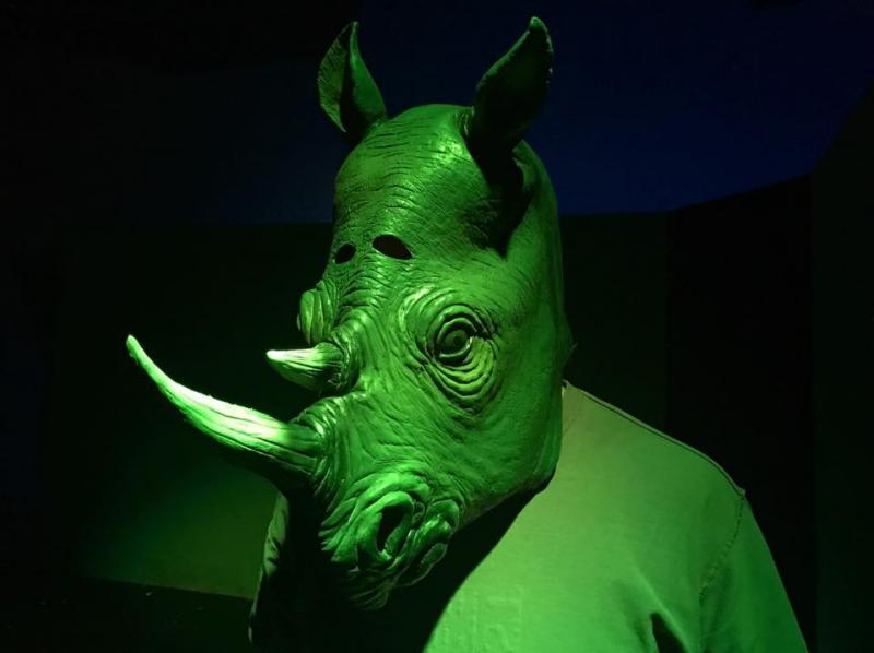 Review: The One Note Play Deflates This RHINOCEROS Image