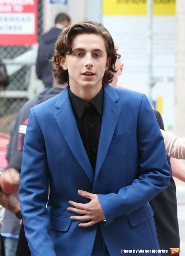 Photo Coverage: Armie Hammer & More Attend TIFF Press Call for CALL ME BY YOUR NAME Image