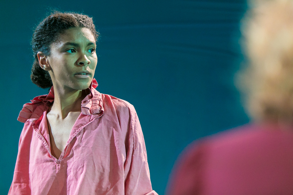 Photo Flash: First Look at THE UNKNOWN ISLAND at the Gate Theatre 