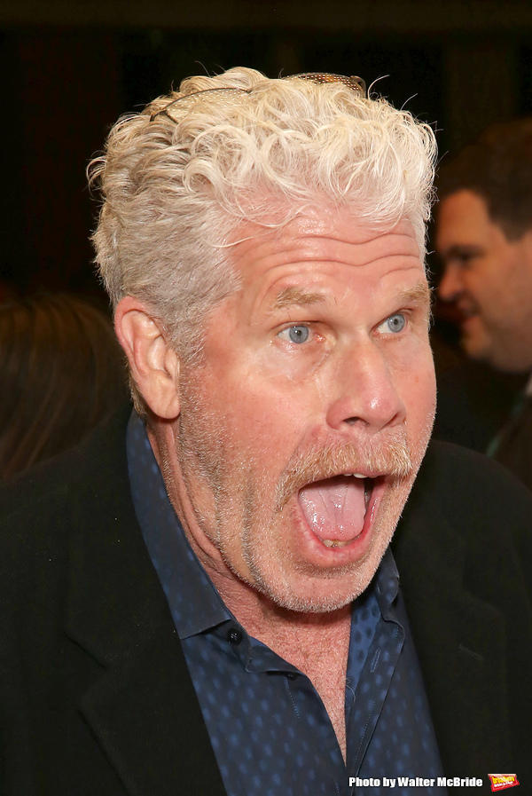 Photo Coverage: THE SHAPE OF WATER Premiere Image