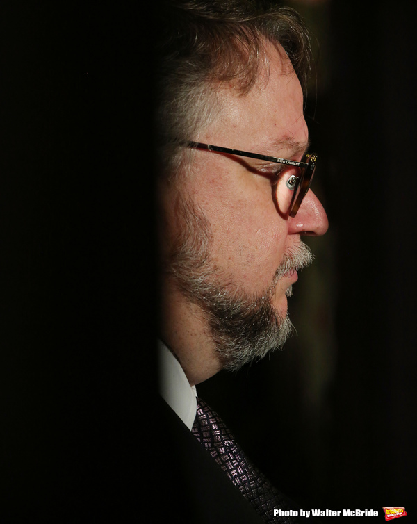 Photo Coverage: THE SHAPE OF WATER Premiere Image