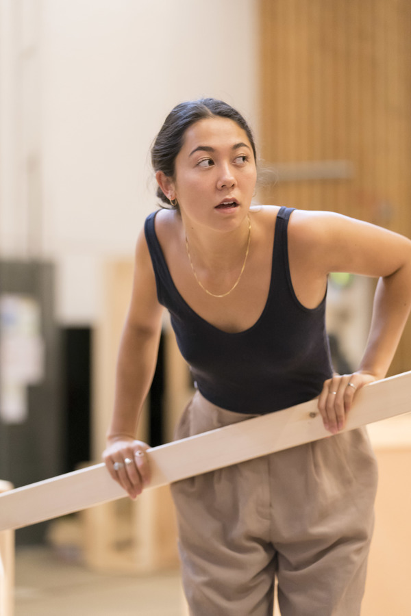 SAINT GEORGE AND THE DRAGON Starts Tonight at the National Theatre Image