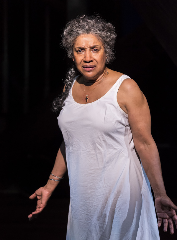 Photo Flash: First Look at Phylicia Rashad in HEAD OF PASSES at the Taper Image