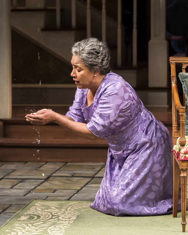 Photo Flash: First Look at Phylicia Rashad in HEAD OF PASSES at the Taper Image