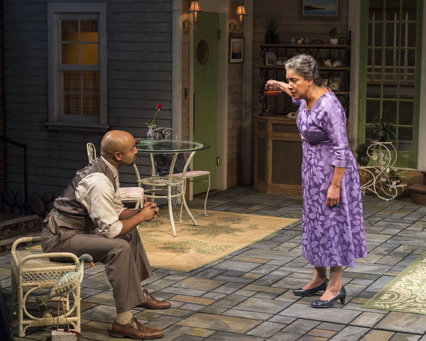 Photo Flash: First Look at Phylicia Rashad in HEAD OF PASSES at the Taper Image
