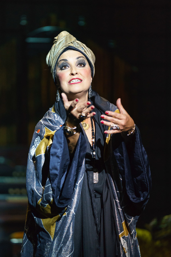 Photo Flash: First Look at Ria Jones, Danny Mac, and More in SUNSET BOULEVARD UK Tour Image