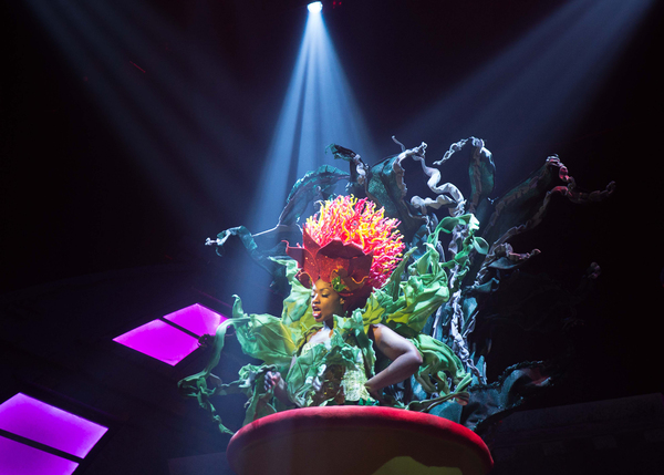 Photo Flash: First Look LITTLE SHOP OF HORRORS at Fulton Theatre Image