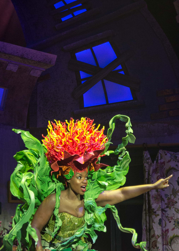 Photo Flash: First Look LITTLE SHOP OF HORRORS at Fulton Theatre Image