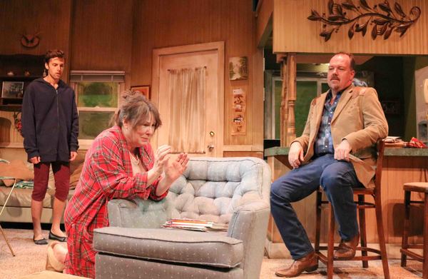 Photo Flash: First Look at The Road Theatre Company's STUPID KID Image