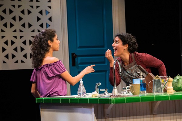 Photo Flash: Ayad Akhtar's THE WHO AND THE WHAT Comes to MIlwaukee Rep Image