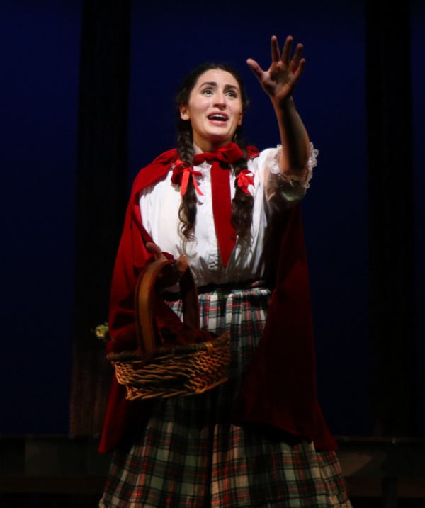 Photo Flash: INTO THE WOODS at Metropolis Performing Arts Centre Image