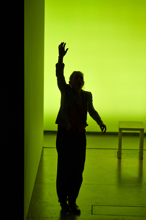 Photo Flash: First Look at Anne-Marie Duff and Kenneth Cranham in HEISENBERG in the West End Image