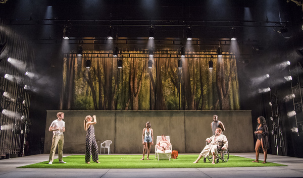 Photo Flash: First Look at THE SEAGULL at the Lyric Hammersmith Image