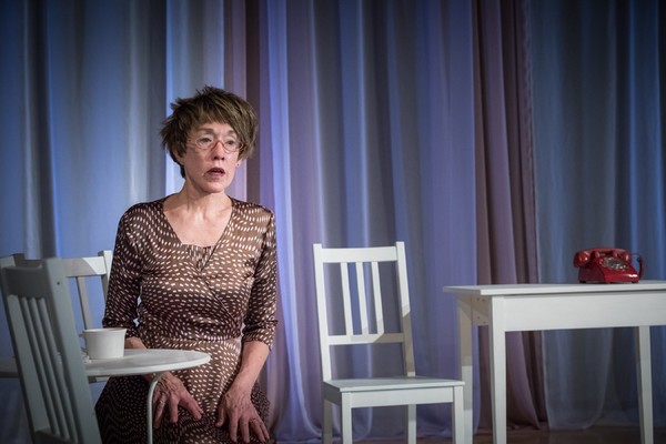 Photo Flash: Danna Schaeffer's One Woman Show YOU IN MIDAIR Premieres Image