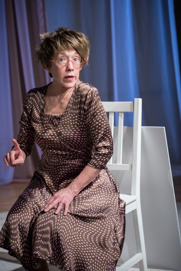 Photo Flash: Danna Schaeffer's One Woman Show YOU IN MIDAIR Premieres Image