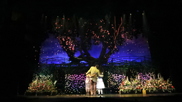 Photo Flash: Get A First Look at TUTS' Broadway-Aimed THE SECRET GARDEN in Houston Image