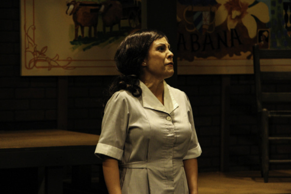 Photo Flash: First Look at Manatee Performing Arts Center's ANNA IN THE TROPICS Image