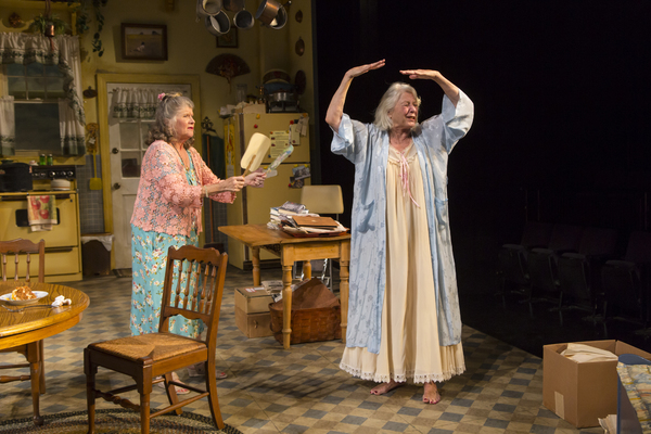 Photo Flash: First Look at Jane Alexander, Judith Ivey and Denis Arndt in FIREFLIES World Premiere at Long Wharf Theatre 