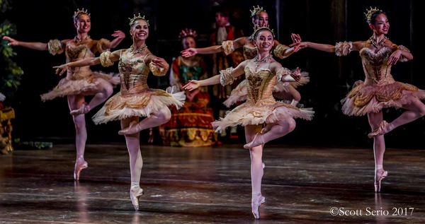 BWW Previews: SLEEPING BEAUTY at Academy Of Music Image