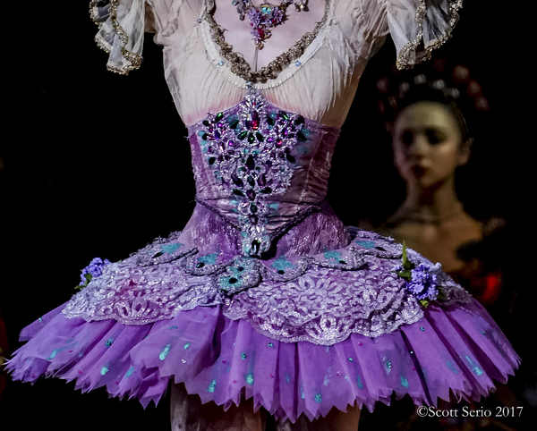BWW Previews: SLEEPING BEAUTY at Academy Of Music Image
