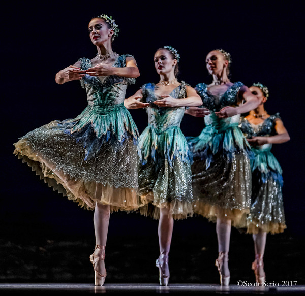 BWW Previews: SLEEPING BEAUTY at Academy Of Music Image