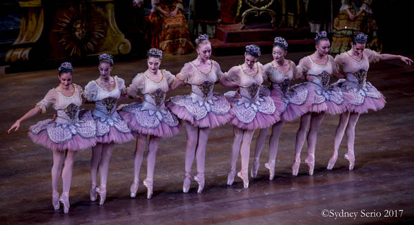 BWW Previews: SLEEPING BEAUTY at Academy Of Music Image
