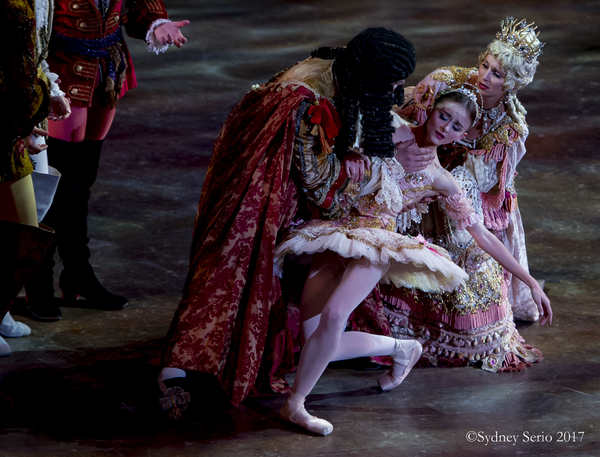 BWW Previews: SLEEPING BEAUTY at Academy Of Music Image