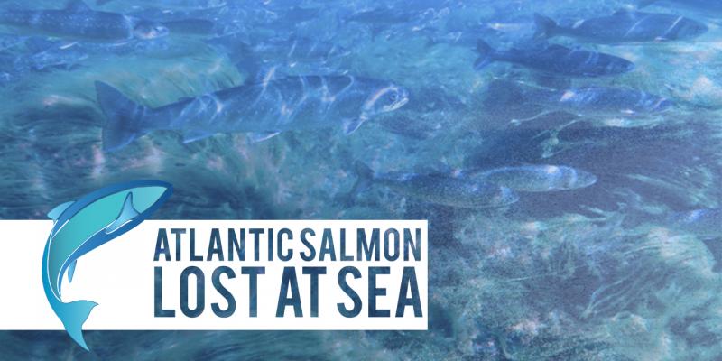 Poetry, Barney Rosset Documentary and Atlantic Salmon Highlight Irish Rep's 2017 Special Events Image