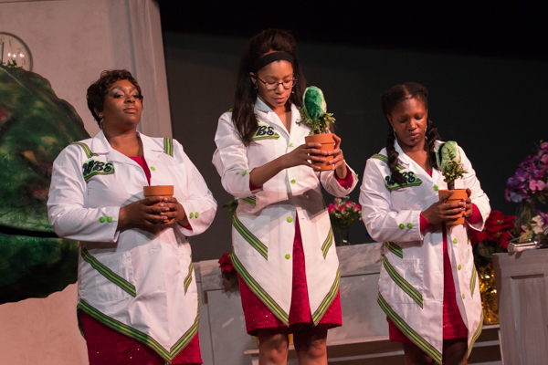 Photo Coverage: First look at Hilliard Arts Council's LITTLE SHOP OF HORRORS Image