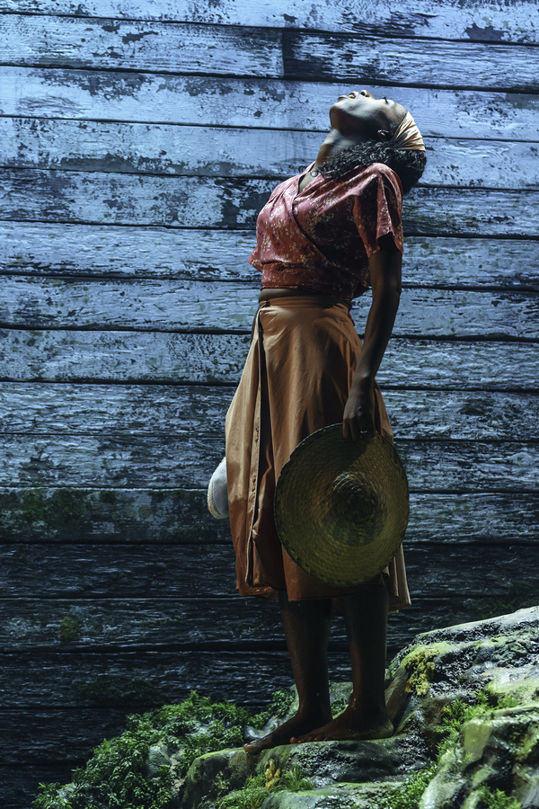 Photo Flash: First Look at THE LADY FROM THE SEA at Donmar Warehouse Image