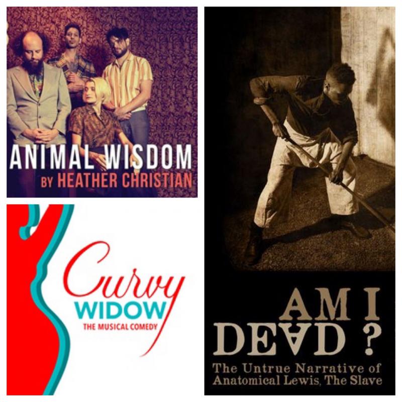 The Maxamoo Podcast Reviews CURVY WIDOW, AM I DEAD?, and ANIMAL WISDOM Image