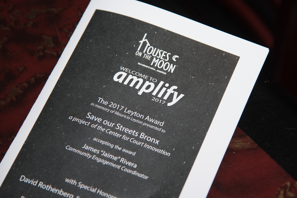 Photo Flash: R. Erin Craig and David Rothenberg Honored at Houses on the Moon Theater Company's AMPLIFY 2017 Benefit Image