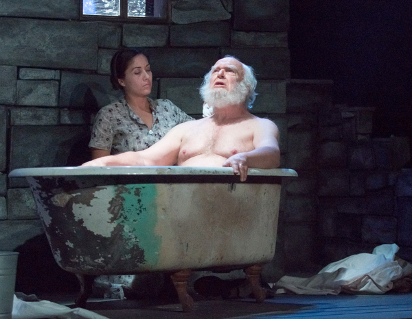 Photo Flash: First Look at DESIRE UNDER THE ELMS at Firehouse Theatre Image