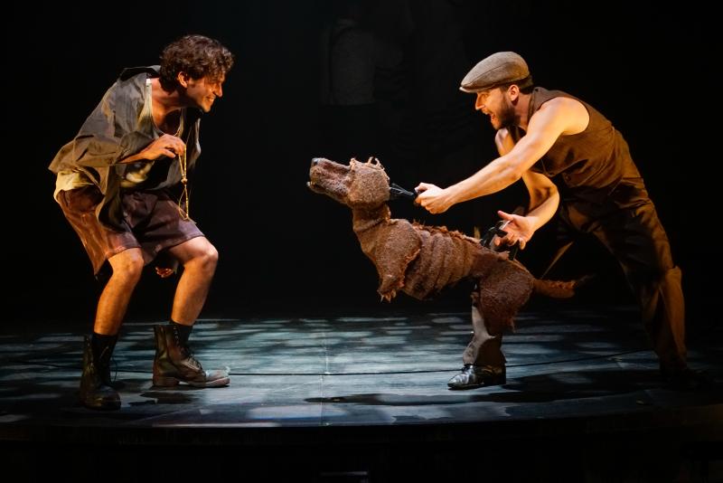Review: KING OF DOGS Commands the Stage at Beit Lessin Theatre Image