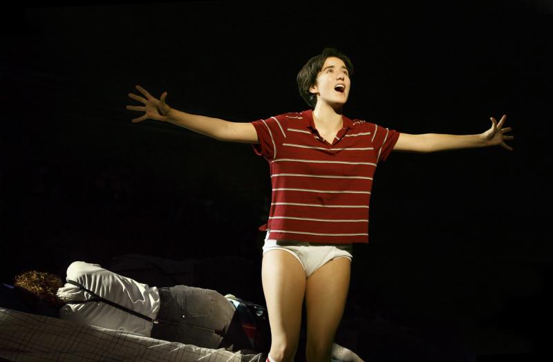 Review: FUN HOME Tour Is Sharply Drawn Image