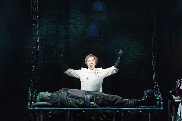 Photo Flash: It's Alive! See YOUNG FRANKENSTEIN in the West End Image