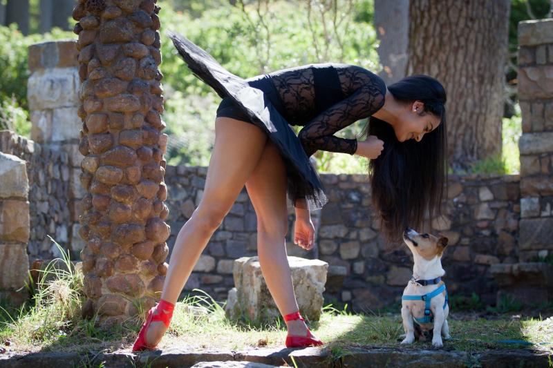 Annual DANCERS LOVE DOGS Onstage at Artscape this November Image