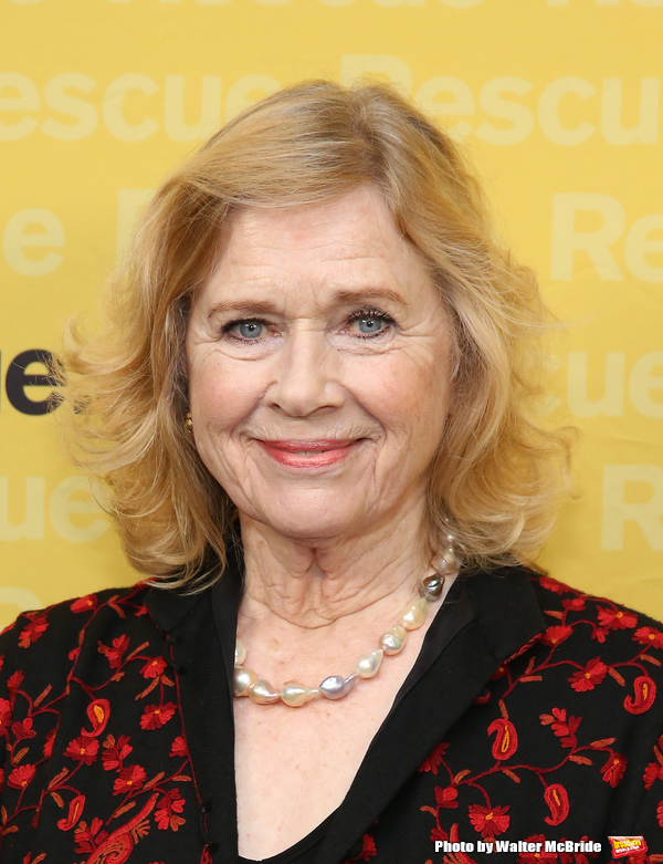 Photo Coverage: IRC Hosts 2017 Rescue Dinner Image