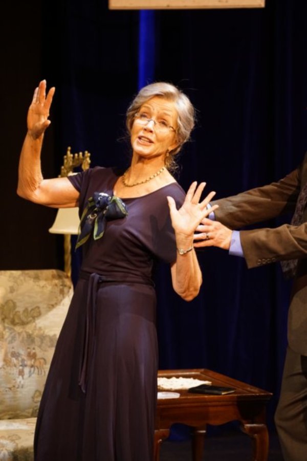 Photo Flash: First Look at Donna Mills Led DRIVING MISS DAISY Image